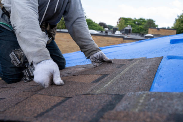 Best Metal Roofing Contractor  in South Dos Palos, CA